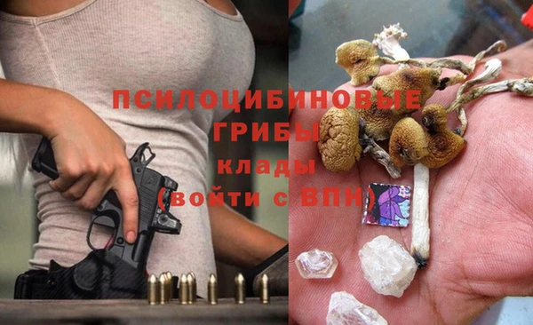 соль ск Лиски