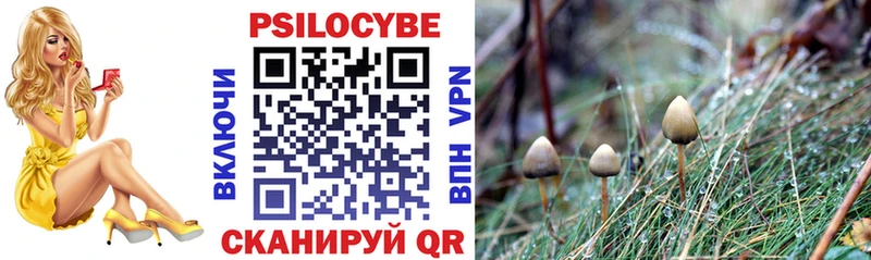 Купить закладки  Ершов  Галлюциногенные грибы Magic Shrooms 